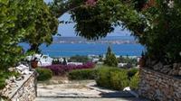 Aloe Paros Suites And Studios Drios Exteriör bild